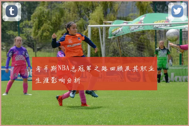 考辛斯NBA总冠军之路回顾及其职业生涯影响分析