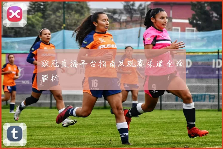 欧冠直播平台指南及观赛渠道全面解析