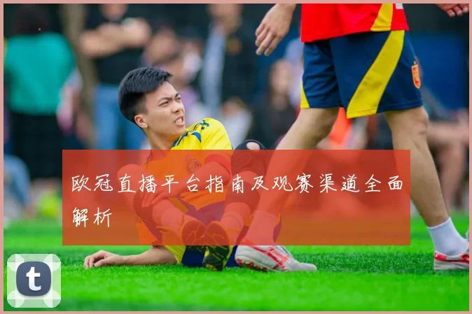 欧冠直播平台指南及观赛渠道全面解析